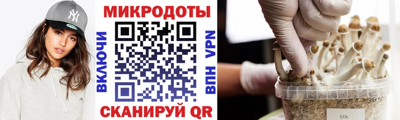 Псилоцибиновые грибы Psilocybine cubensis  Купить  Владивосток 